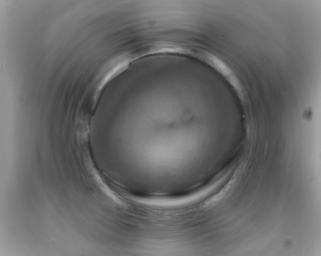 X0000092031377200709061605