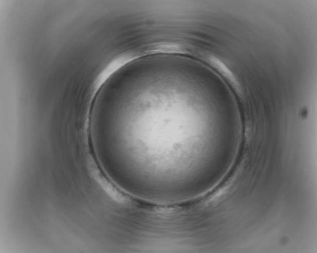 X0000092031378200709061605