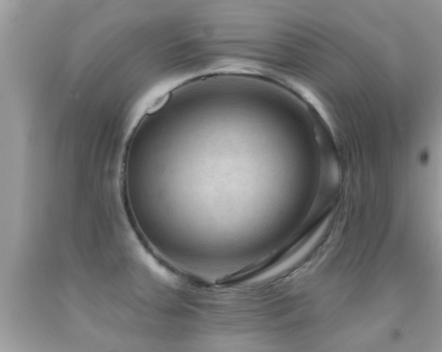 X0000092031379200709061605