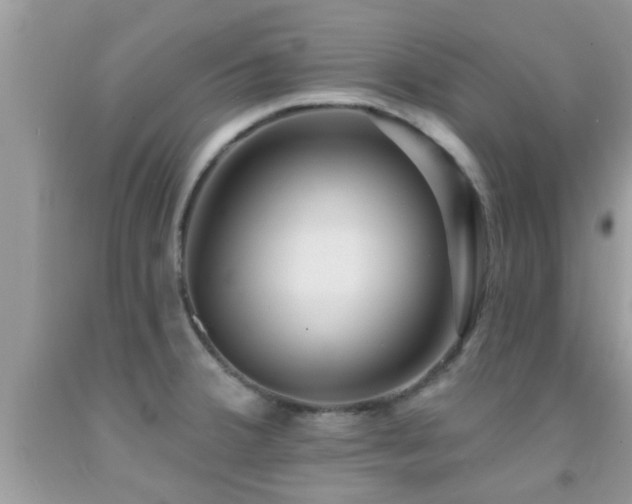 X0000092031380200709061605