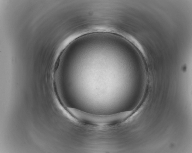 X0000092031381200709061605