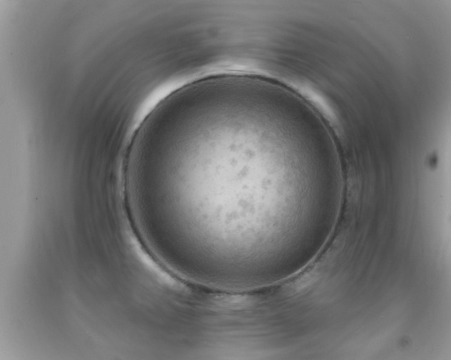 X0000092031382200709061605