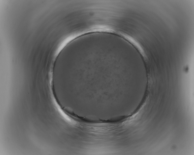 X0000092031383200709061605