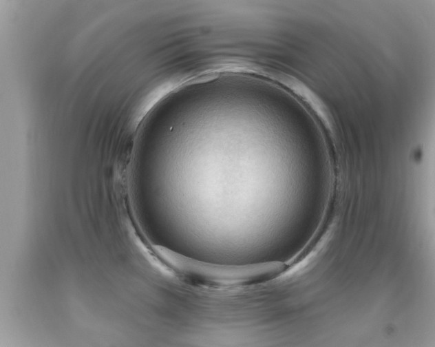X0000092031385200709061605