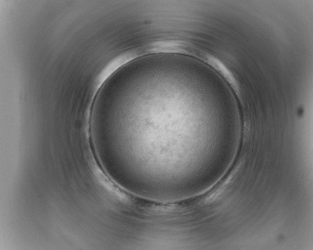 X0000092031386200709061605