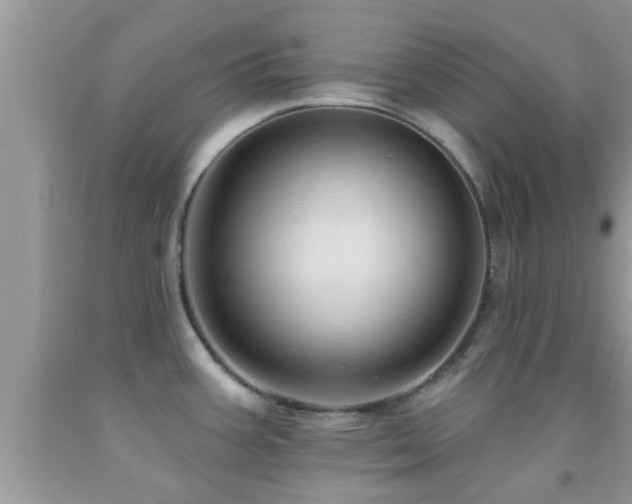 X0000092031387200709061605