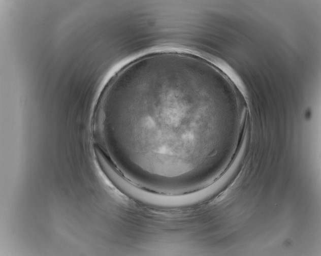 X0000092031388200709061605