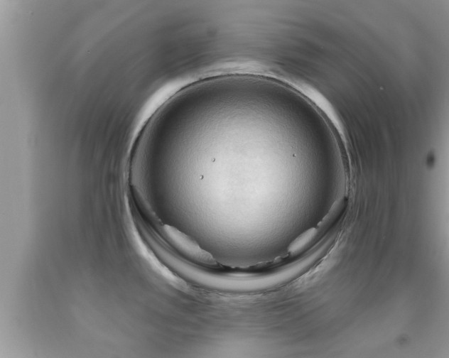 X0000092031389200709061605