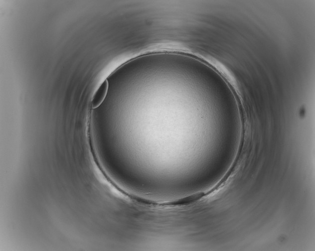 X0000092031390200709061605