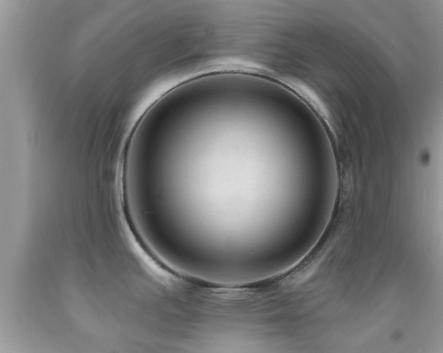 X0000092031391200709061605