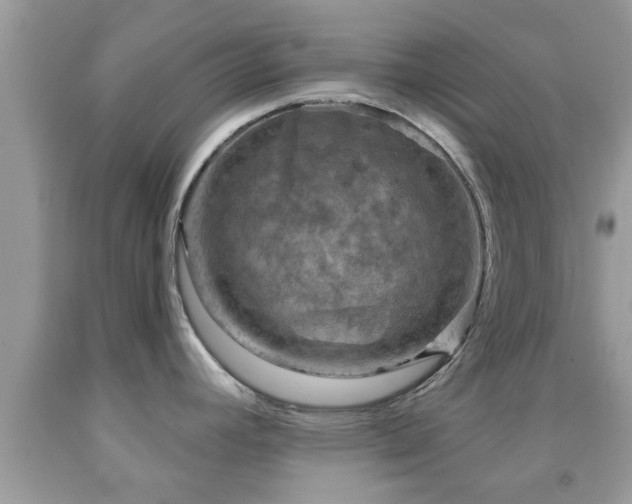 X0000092031392200709061605