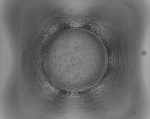X0000092031393200709061604