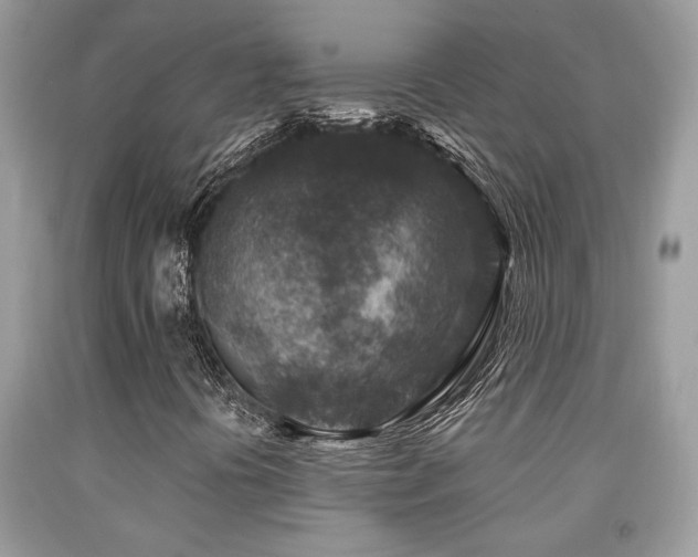 X0000092031394200709061604