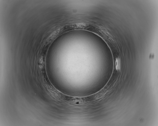 X0000092031395200709061604