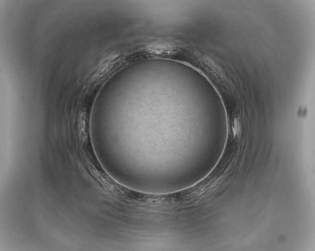 X0000092031396200709061604