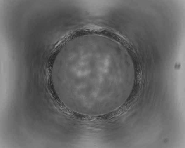 X0000092031397200709061604