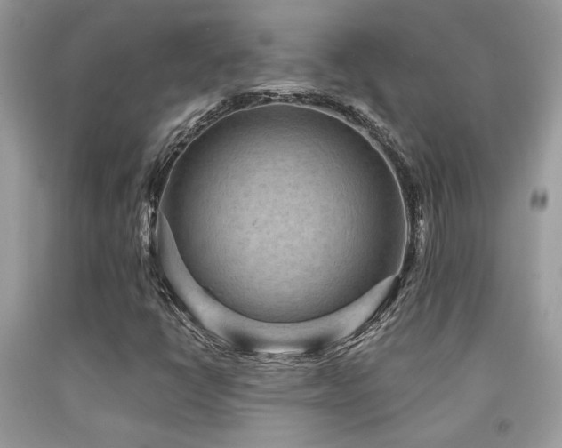 X0000092031398200709061604