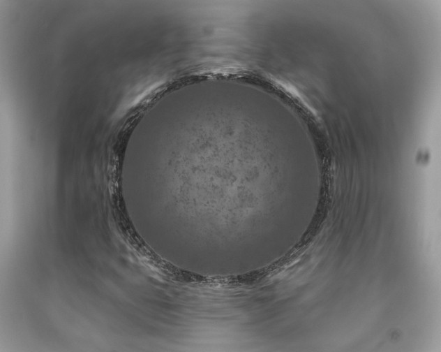 X0000092031399200709061604