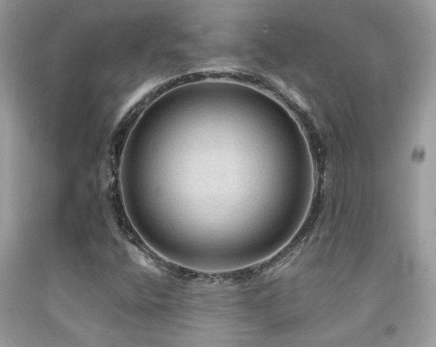 X0000092031400200709061604