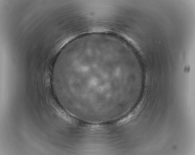 X0000092031401200709061604