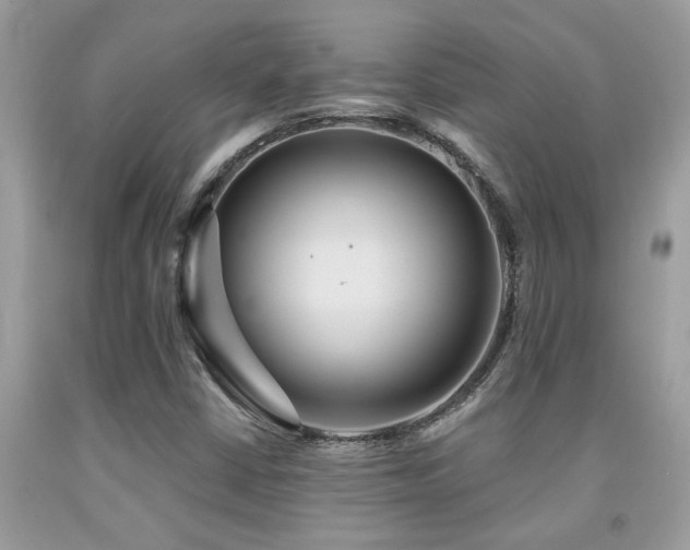 X0000092031402200709061604