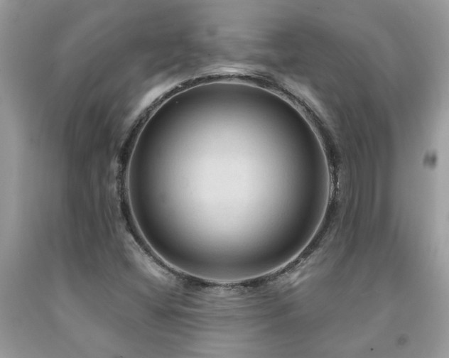 X0000092031404200709061604