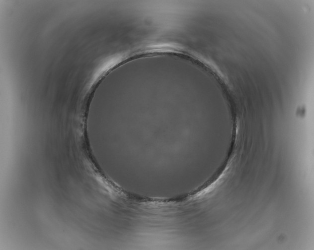 X0000092031405200709061604