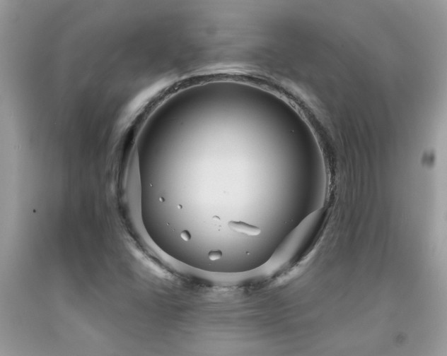 X0000092031406200709061604