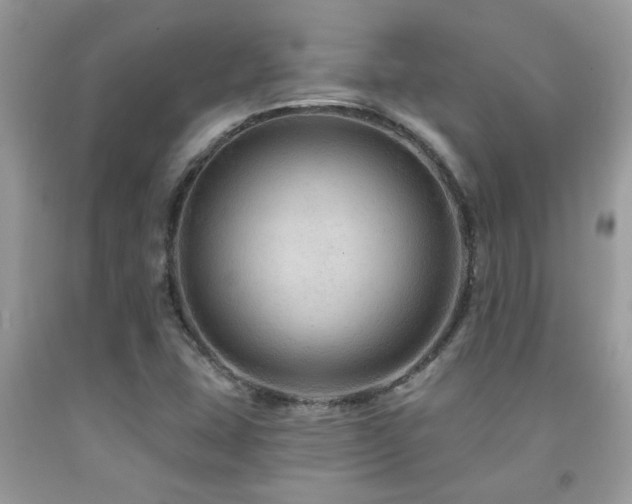 X0000092031407200709061604
