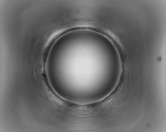 X0000092031408200709061604