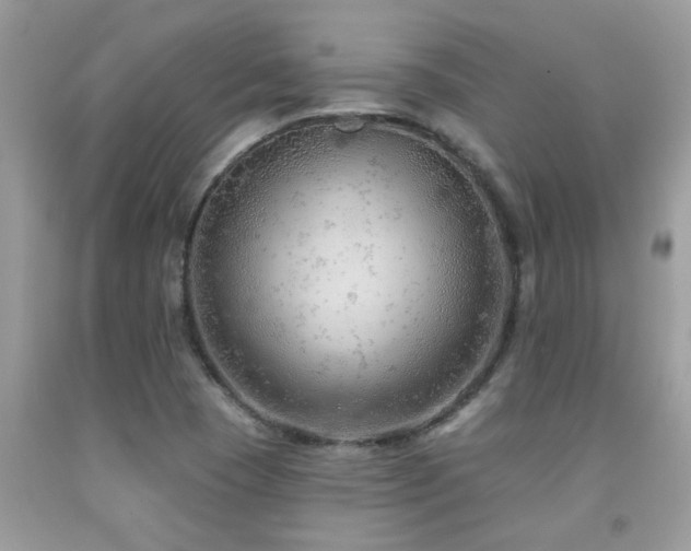 X0000092031409200709061604
