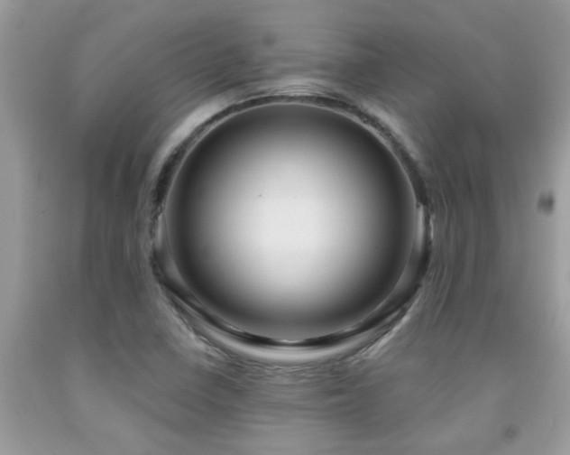 X0000092031410200709061604