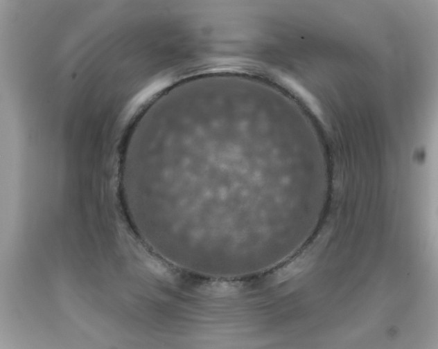 X0000092031411200709061605