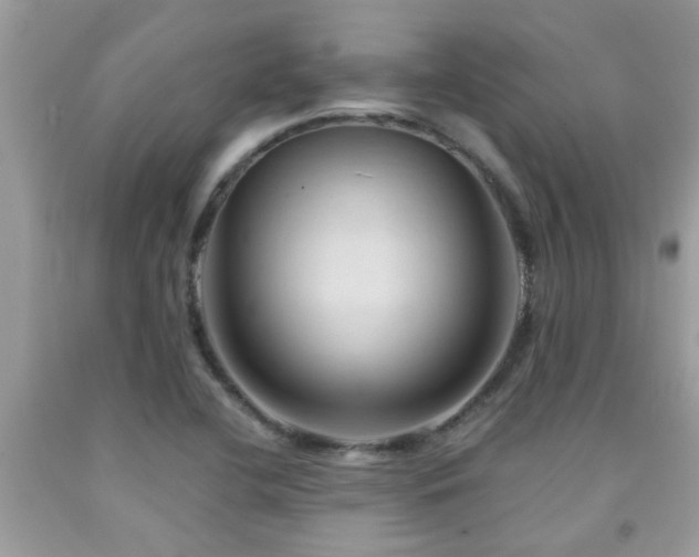 X0000092031412200709061605