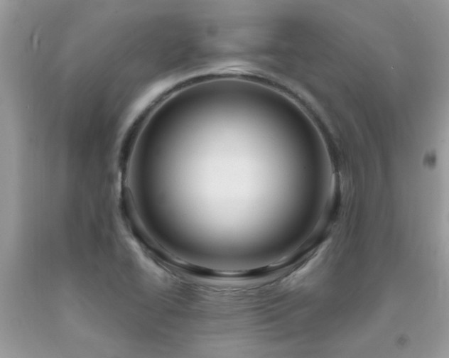 X0000092031414200709061605