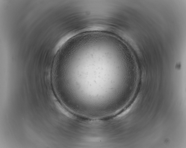 X0000092031417200709061605