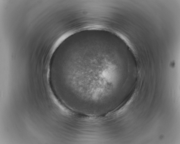 X0000092031418200709061605