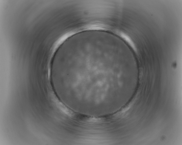 X0000092031419200709061605