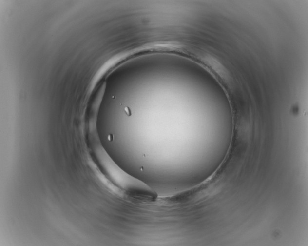 X0000092031420200709061605