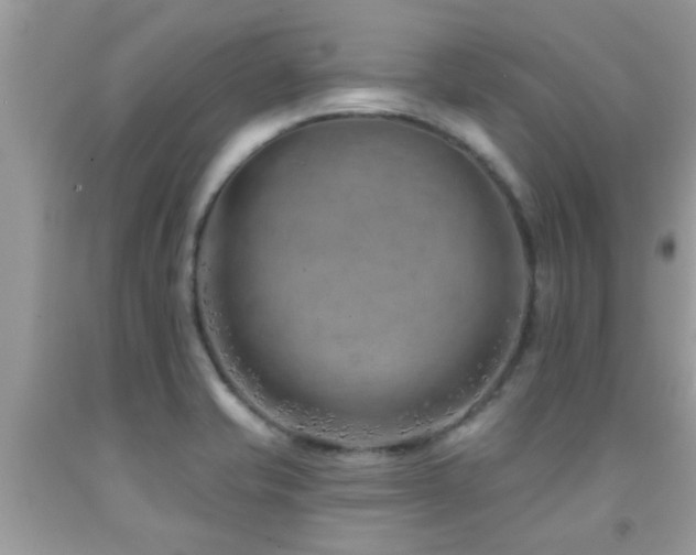 X0000092031421200709061605