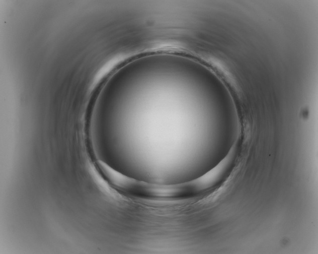 X0000092031422200709061605