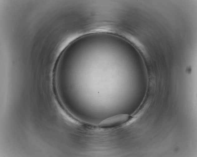 X0000092031423200709061605