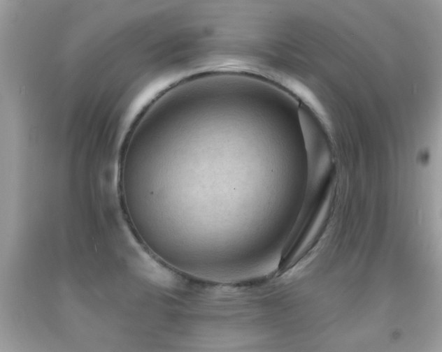 X0000092031424200709061605