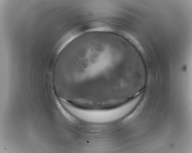 X0000092031425200709061605