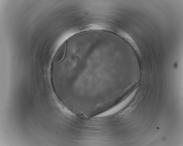 X0000092031427200709061605