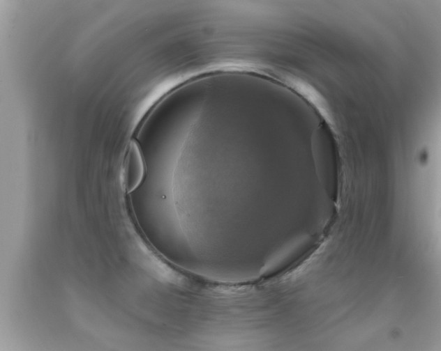 X0000092031428200709061605