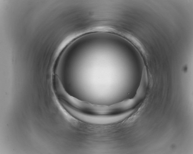 X0000092031430200709061605