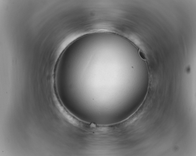 X0000092031431200709061605