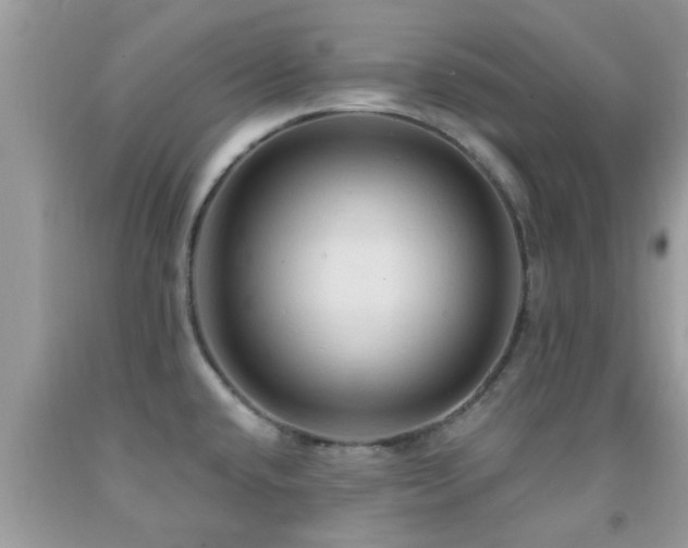 X0000092031432200709061605