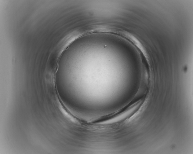 X0000092031433200709061605